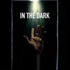 In the Dark (feat. CTK) - Single album lyrics, reviews, download