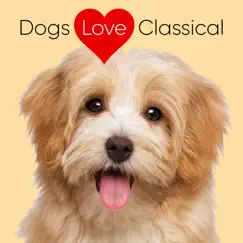 Dogs Love Classical: Piano Sonatas by Mozart & Haydn by Dogs Love Classical album reviews, ratings, credits
