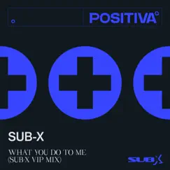 What You Do To Me (SUB-X VIP Mix) Song Lyrics