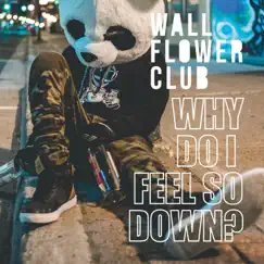 Why do I feel so down? - EP by Wallflower Club album reviews, ratings, credits