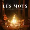 Les mots (feat. Vince Lemire) - Single album lyrics, reviews, download