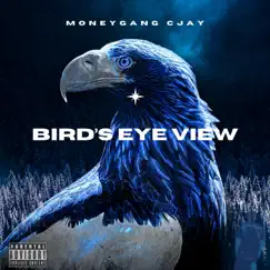 Bird's Eye View - EP by MoneyGang CJay album reviews, ratings, credits