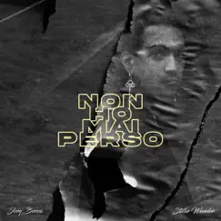 Non ho mai perso (feat. Stillie Wonder) Song Lyrics