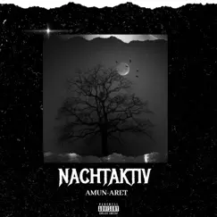 Nachtaktiv - Single by Amun & Aret album reviews, ratings, credits