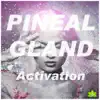 Pineal Gland Activation album lyrics, reviews, download