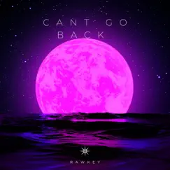 Cant Go Back (Radio Edit) [Radio Edit] - Single by Rawkey album reviews, ratings, credits