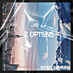 2 Options - Single by Kash Gambino album reviews, ratings, credits