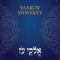 אלקי עז - Single by Yaakov Shwekey album reviews, ratings, credits