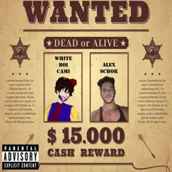 Wanted (feat. Alex Schor) Song Lyrics