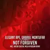 Not Forgiven (feat. Melih Aydogan) - Single album lyrics, reviews, download