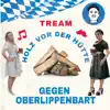 HOLZ VOR DER HÜTTE GEGEN OBERLIPPENBART - Single album lyrics, reviews, download