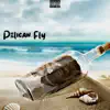Pelican Fly - Single album lyrics, reviews, download