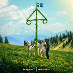 MIDSOMMARSTÅND (Bas & Fiol) Song Lyrics