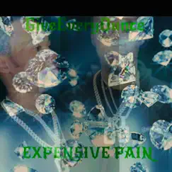 Expensive Pain - Single by Geo GiveEveryOunce album reviews, ratings, credits