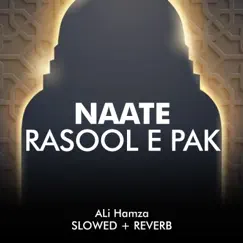 Naate Rasool e Pak Lofi - Single by Ali Hamza album reviews, ratings, credits