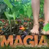 Magia - Single album lyrics, reviews, download