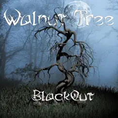 Blackout - Single by Walnut Tree album reviews, ratings, credits