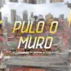 Pulo o Muro (feat. Mc Wi) - Single album lyrics, reviews, download