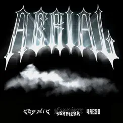 Aerial - Single by COSMIC & Skypierr album reviews, ratings, credits