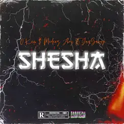 Shesha (feat. JaySavage) - Single by Okee & Mcdeez Fboy album reviews, ratings, credits