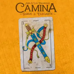 Camina (Suave y Elegante) - Single by Abel Pintos & Los Palmeras album reviews, ratings, credits