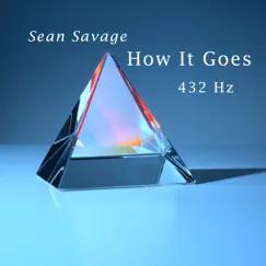 How It Goes - Single by Sean Savage album reviews, ratings, credits