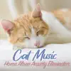 Cat Music - Home Alone Anxiety Eliminator album lyrics, reviews, download