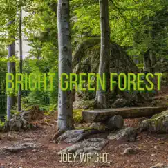 Bright Green Forest - Single by Joey Wright album reviews, ratings, credits