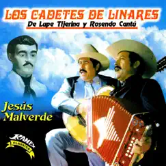 Jesús Malverde by Los Cadetes De Linares album reviews, ratings, credits