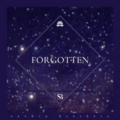 Forgotten - Single by Seehra Brothers album reviews, ratings, credits