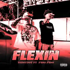 Flexin (feat. Peso Peso) - Single by YoDotDot album reviews, ratings, credits