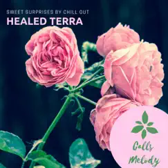 Sweet Surprises by Chill Out - EP by Healed Terra album reviews, ratings, credits