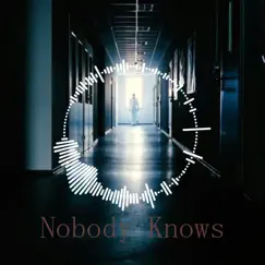 Nobody Knows - Single by Miguel Andersen album reviews, ratings, credits