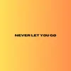 Never Let You Go (Acoustic) - Single album lyrics, reviews, download