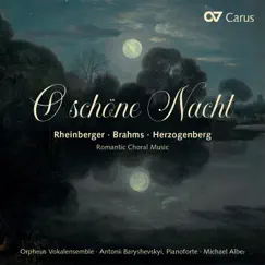 3 Gesänge, Op. 73: II. Das Vöglein Song Lyrics