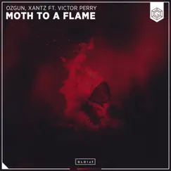 Moth To a Flame (feat. Victor Perry) Song Lyrics