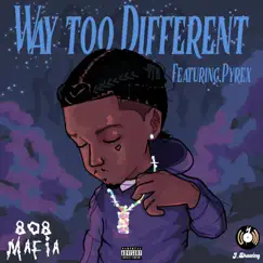 WAY TO DIFFERENT (feat. Pyrex) Song Lyrics