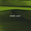 More ASH - Single album lyrics, reviews, download