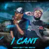 I cant (feat. Karley boi) - Single album lyrics, reviews, download