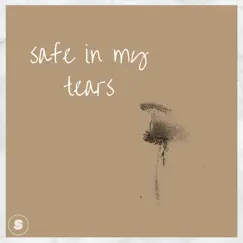 Safe in my tears - Single by Hemang album reviews, ratings, credits