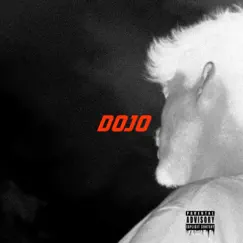 Dojo Song Lyrics