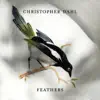 Feathers - Single album lyrics, reviews, download