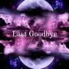 Last Goodbye - Single album lyrics, reviews, download