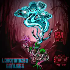 Bits N Pieces, Vol. 2 by Lobotomized Geniuses album reviews, ratings, credits