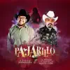 Pajarillo (feat. La Mosca Y Su Cartél De Nuevo León) - Single album lyrics, reviews, download