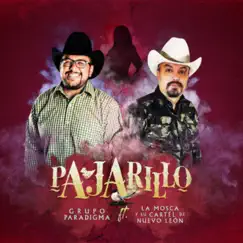 Pajarillo (feat. La Mosca Y Su Cartél De Nuevo León) - Single by Grupo Paradigma album reviews, ratings, credits