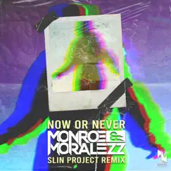 Now or Never (Slin Project Remix) - Single by Monroe & Moralezz album reviews, ratings, credits