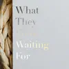 What They Were Waiting For - Single album lyrics, reviews, download