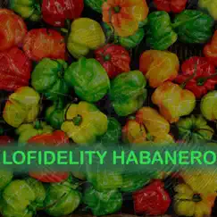 Hot Hot Stuff - Single by Lofidelity Habanero album reviews, ratings, credits