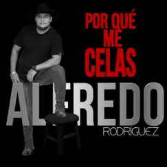 ¿Por Que Me Celas? - Single by Alfredo Rodriguez album reviews, ratings, credits